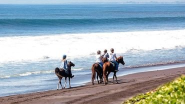 サバ ビーチ バリ島 乗馬 体験 ツアー