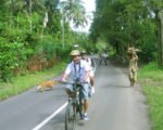 サイクリングアドベンチャー、バリ島サイクリング、Bewishサイクリングツアー