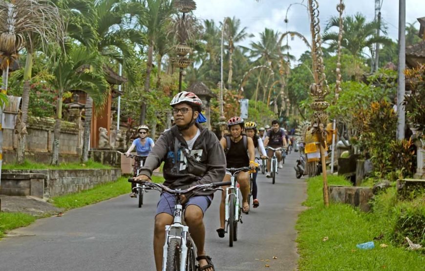 バリサイクリングツアー